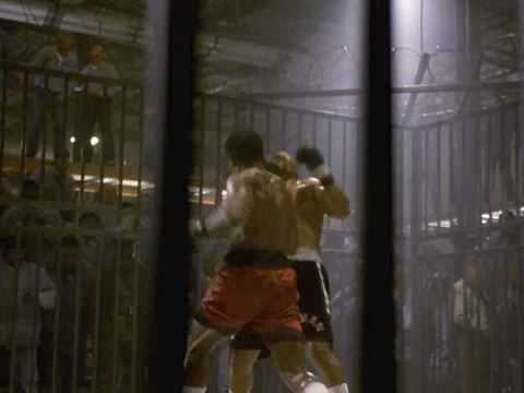 The Fight