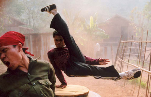 Gymnast fighting