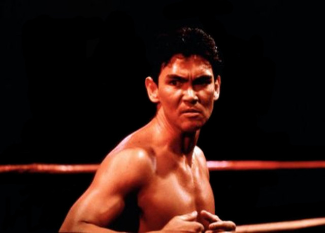Top 75 Martial Arts Movie Stars and their Training