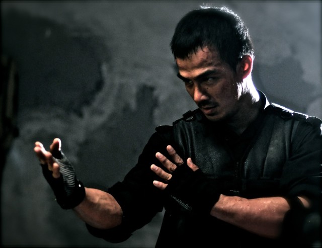 Top 75 Martial Arts Movie Stars and their Training