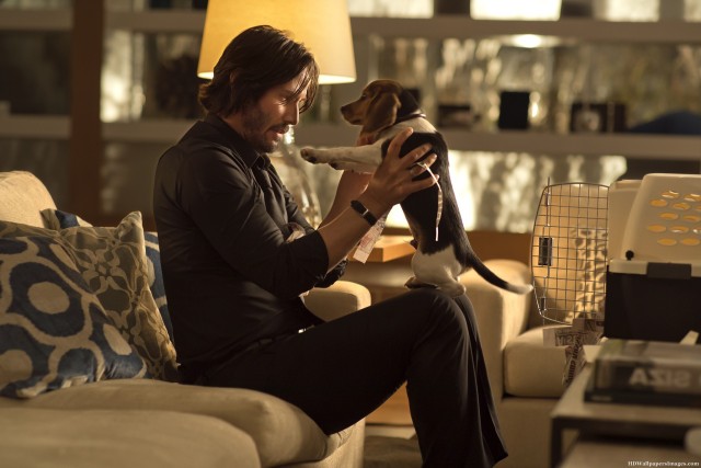 John's Puppy