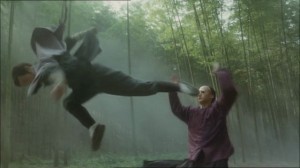 Tai Chi Boxer Action Scene